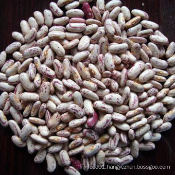 Chinese New Crop Light Speckled Kidney Bean